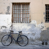 Windows and a Bicycle