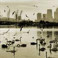 Docklands Photography